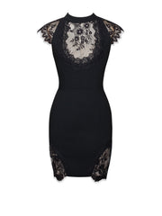 Quinella Black Lace Charming Crepe Backless Mini Dress Dresses