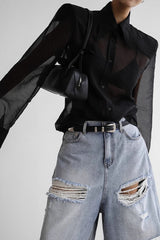 Elegant Sheer Long Sleeve Blouse