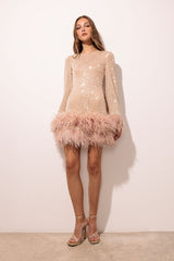 Long Sleeve Feather Sequin Mini Dress