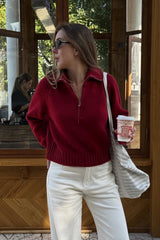 Solid Color Notched Collar Relaxed Knit Sweater