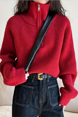 Half Zip Knit Turtleneck Sweater Red / One Size
