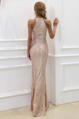 Sequin Mermaid Gown Formal Dress