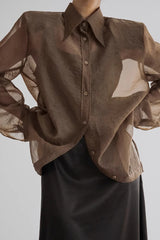 Elegant Sheer Long Sleeve Blouse