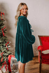 Velvet Loose Cutout Tie Waist Mini Dress