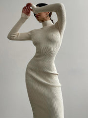 High Neck Ribbed Knit Long Sleeve Maxi Dress Maxi Dresses