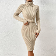 Turtleneck Bodycon Sweater Dress
