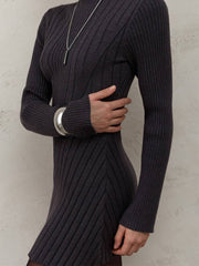 Long Sleeve High Neck Sweater Dress