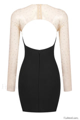 Aarohi Crystal Stylish Mesh Mini Dress