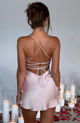 Avril Mini Graceful Dress Blush Dress