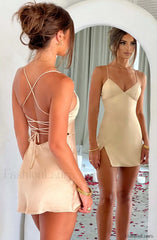 Avril Mini Graceful Dress Champagne Dress