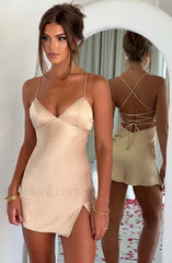 Avril Mini Graceful Dress Champagne Dress