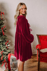 Velvet Loose Cutout Tie Waist Mini Dress