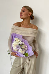 Slim Fit Off-Shoulder Knit Top