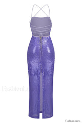 Emilina Sequin Stylish Backless Maxi Dress