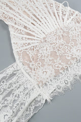 Strapless Lace Corset Sheer Mini Dress