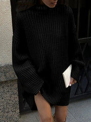 Minimalism Turtleneck Graceful Short Sweater Dress Black / XS Sweaters L