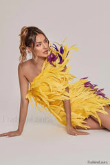 Paislee Asymmetric Stylish Feather Mini Dress