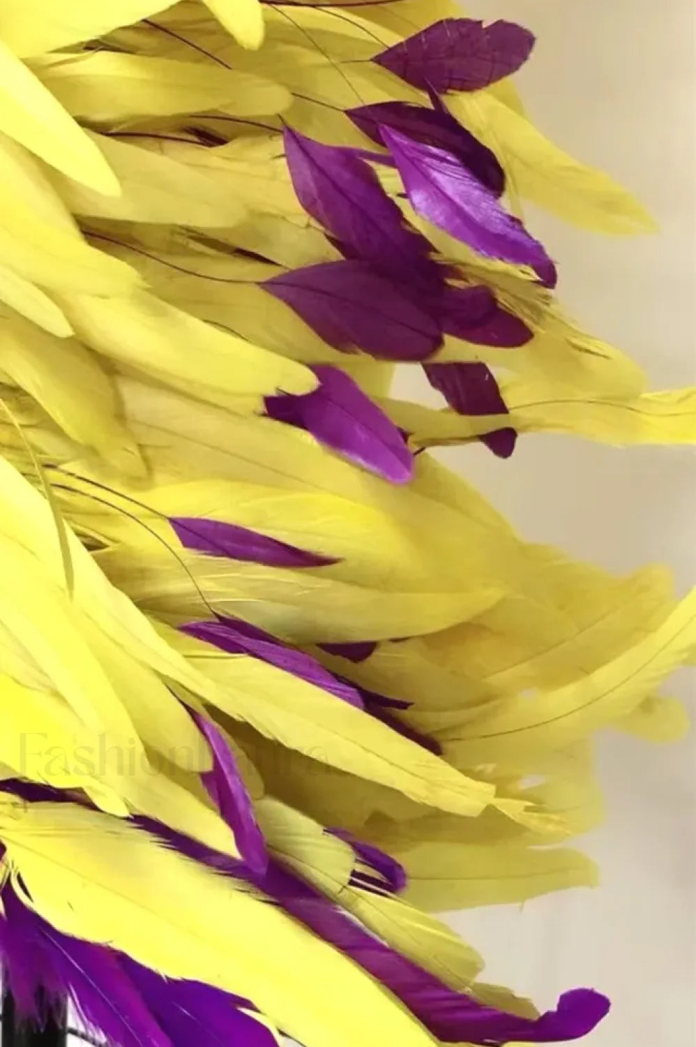 Paislee Asymmetric Stylish Feather Mini Dress