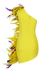 Paislee Asymmetric Stylish Feather Mini Dress