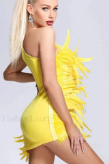 Paislee Asymmetric Stylish Feather Mini Dress