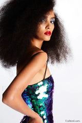 Phoenix Midi Stylish Dress in Sequins