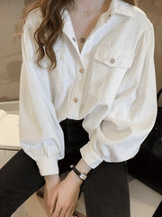 Pleated Long Sleeve Blouse Shirts