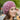 Women's Winter New Korean Edition Warm Solid Beret Rabbit Hair Hat Secondary image