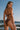 Brown Halter Strapless Side Tie Bikini Set Secondary image