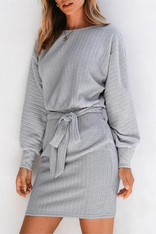 Ribbed Knit Belted Sweater Dress Main image