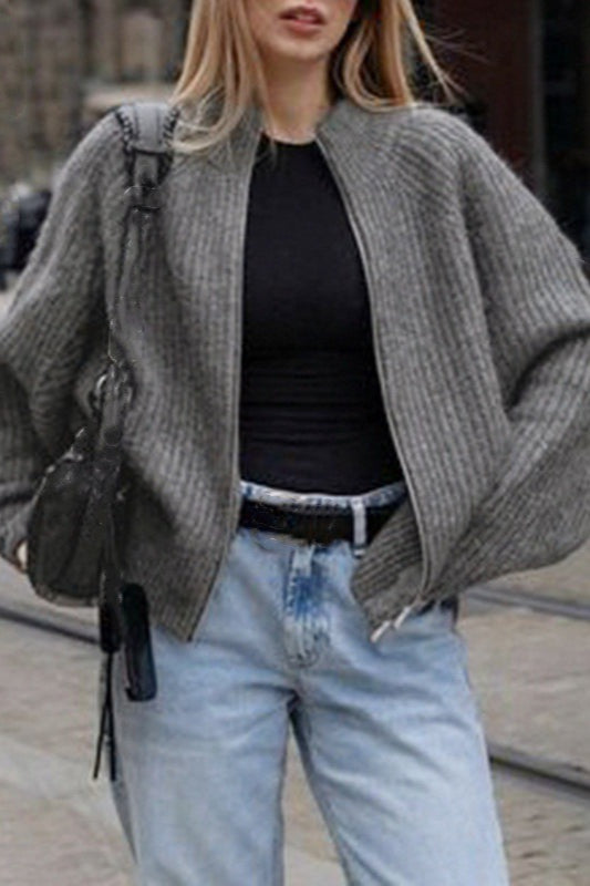 Minimalist Solid Color Double Zipper Stand Collar Sweater Main image