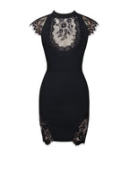 Quinella Black Lace Charming Crepe Backless Mini Dress Dresses