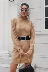 Short Ribbed Turtleneck Sweater Dress