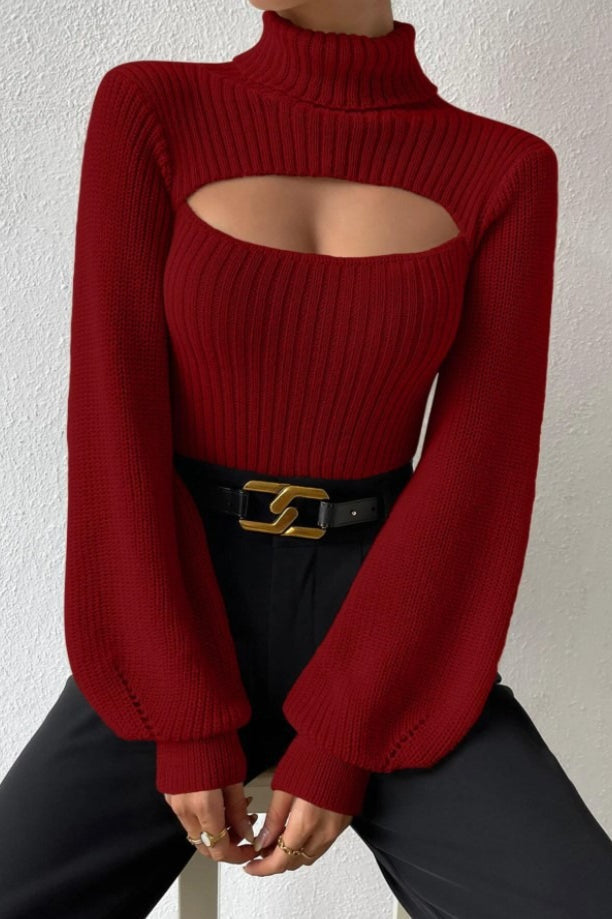 Sexy Hollow Out Turtleneck Sweater Red / XS