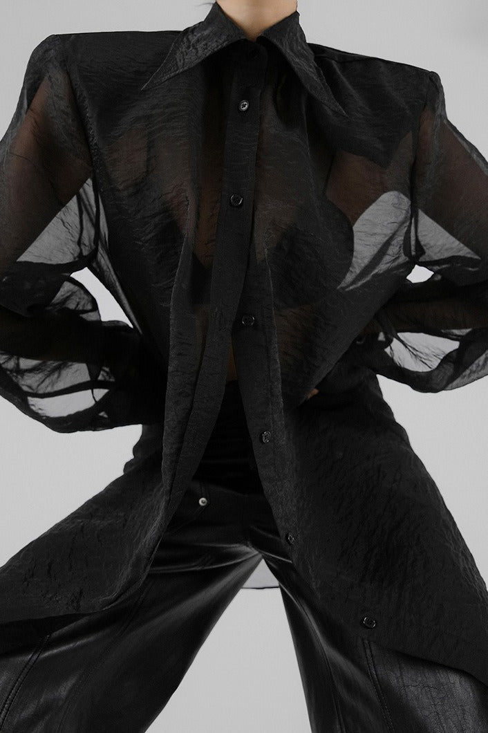 Elegant Sheer Long Sleeve Blouse Secondary image