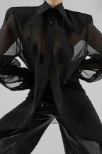 Elegant Sheer Long Sleeve Blouse