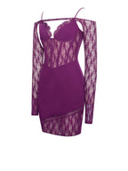 Elsie Purple Lace Charming and Crepe Mini Dress Dresses