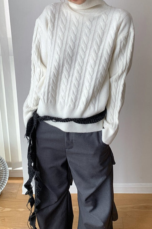 Cropped Ribbed Turtleneck Knit Sweater Main image
