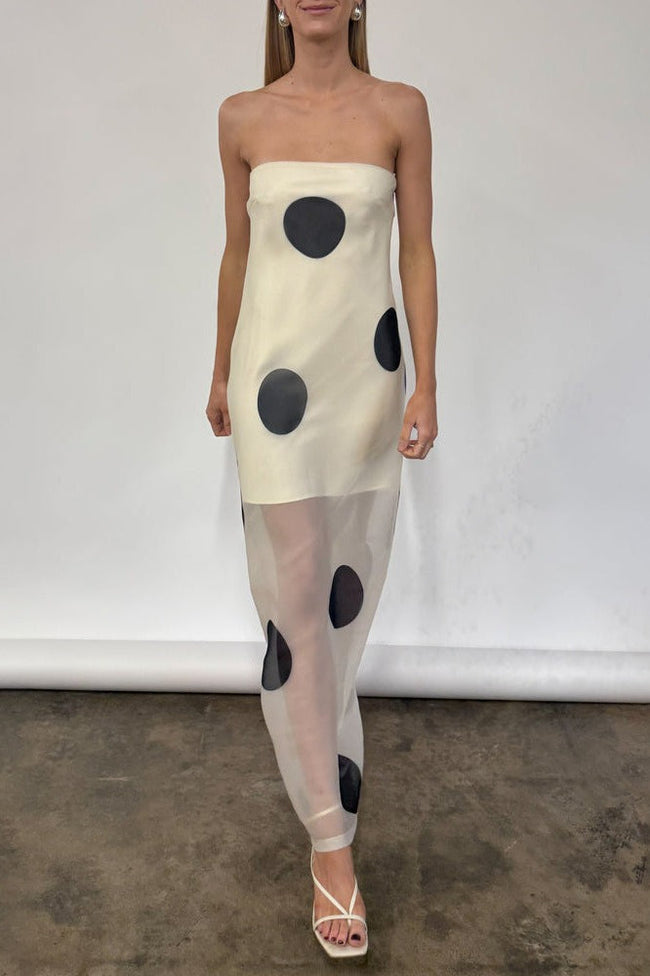 Polka Dot Bodycon Cami Maxi Dress Main image