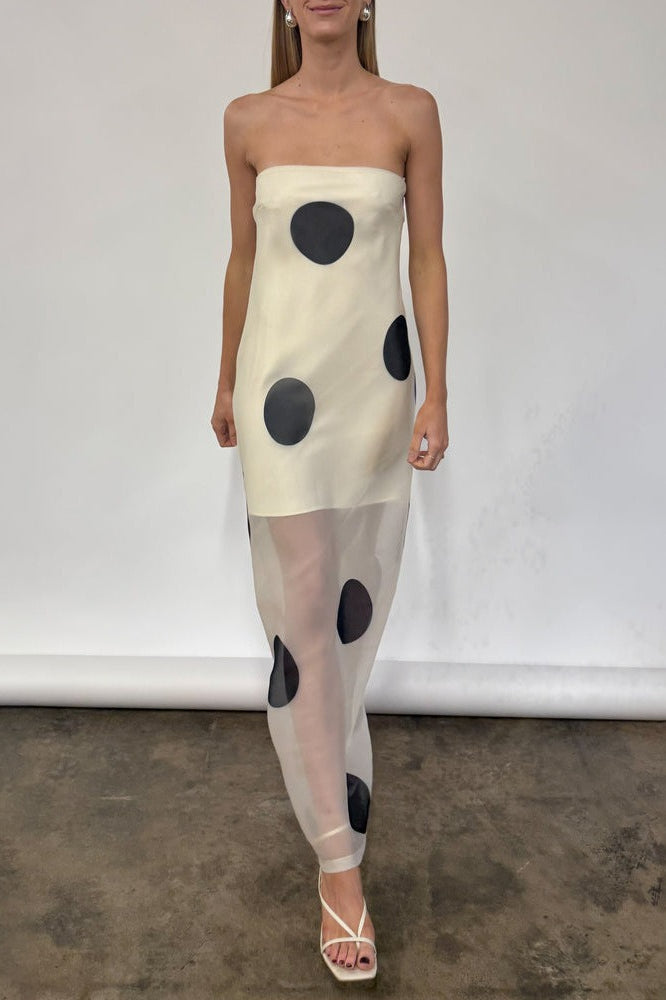 Polka Dot Bodycon Cami Maxi Dress Main image