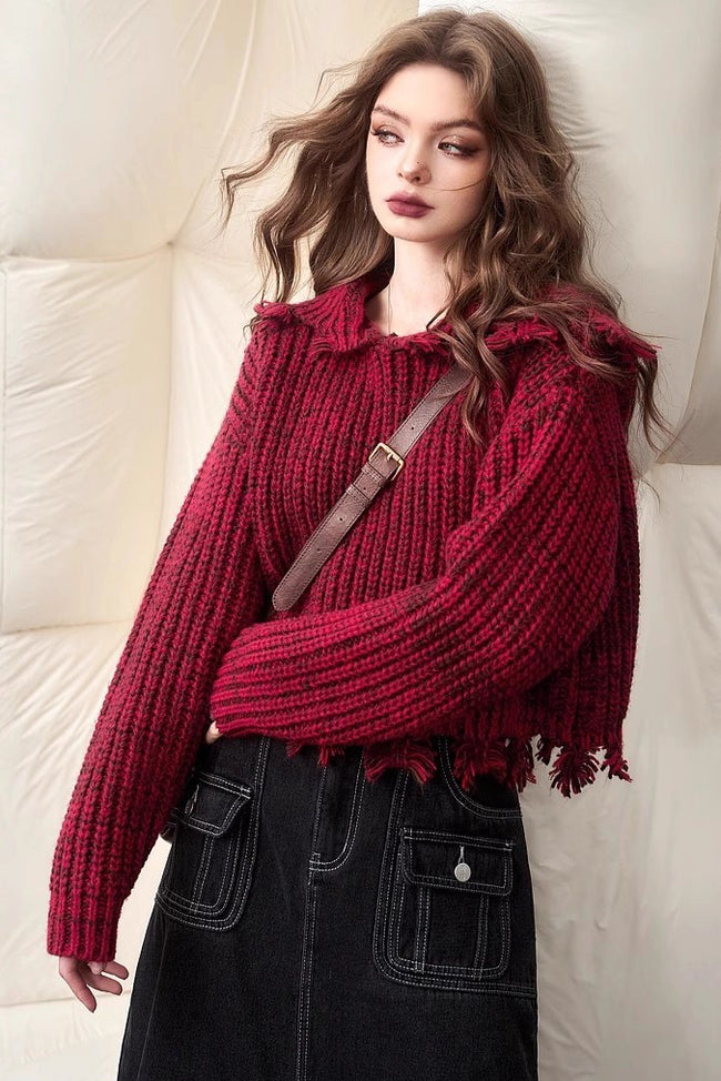 Solid Color Tassel Trim Short Chunky Sweater Main image