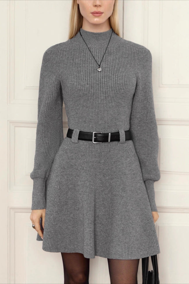 Thick Knit Turtleneck Sweater Dress S / Grey Main image