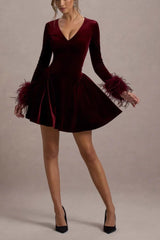 Long Sleeve V Neck Mini Dress