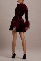 Long Sleeve V Neck Mini Dress