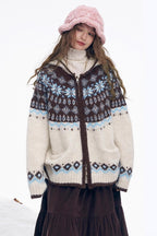 Color Block Chunky Hooded Sweater