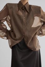 Elegant Sheer Long Sleeve Blouse