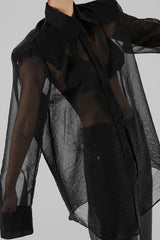 Elegant Sheer Long Sleeve Blouse