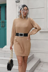 Short Ribbed Turtleneck Sweater Dress