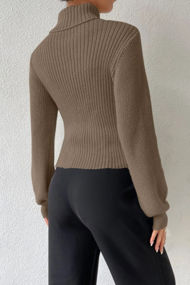 Sexy Hollow Out Turtleneck Sweater