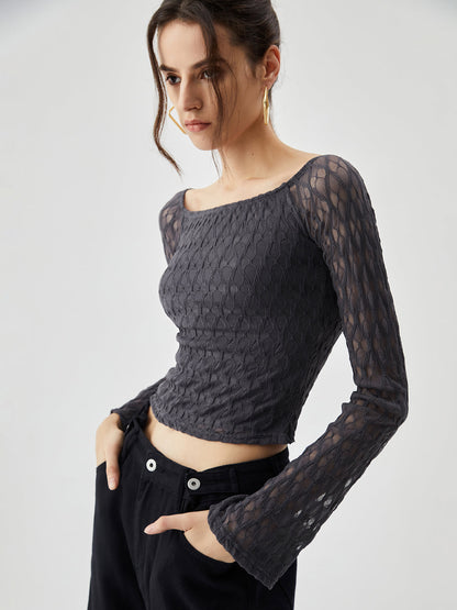 Semi-sheer Boat Neck Trendy Mesh Crop Top