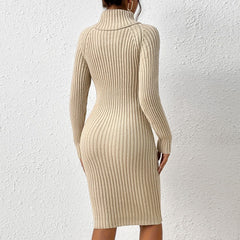 Turtleneck Bodycon Sweater Dress